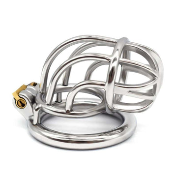 Stainless Steel Birdcage Male Chastity Cage