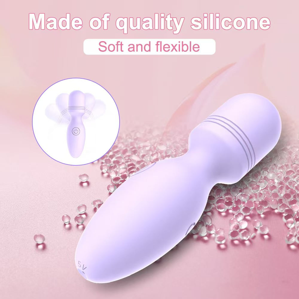 Small Rechargeable Female Purple Vibrator