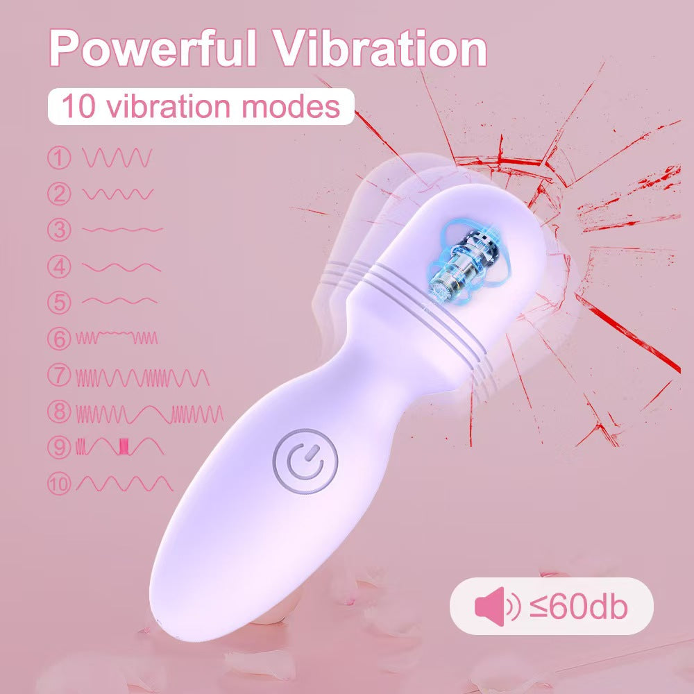 Small Rechargeable Female Purple Vibrator