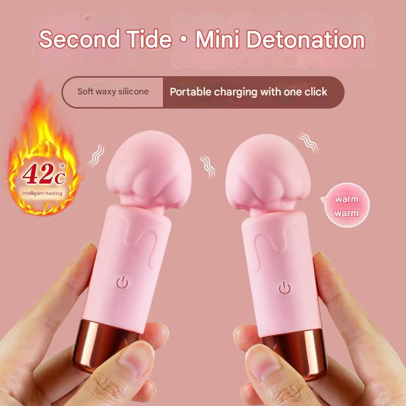 Pink Ice Cream Rechargeable Small Vibrator