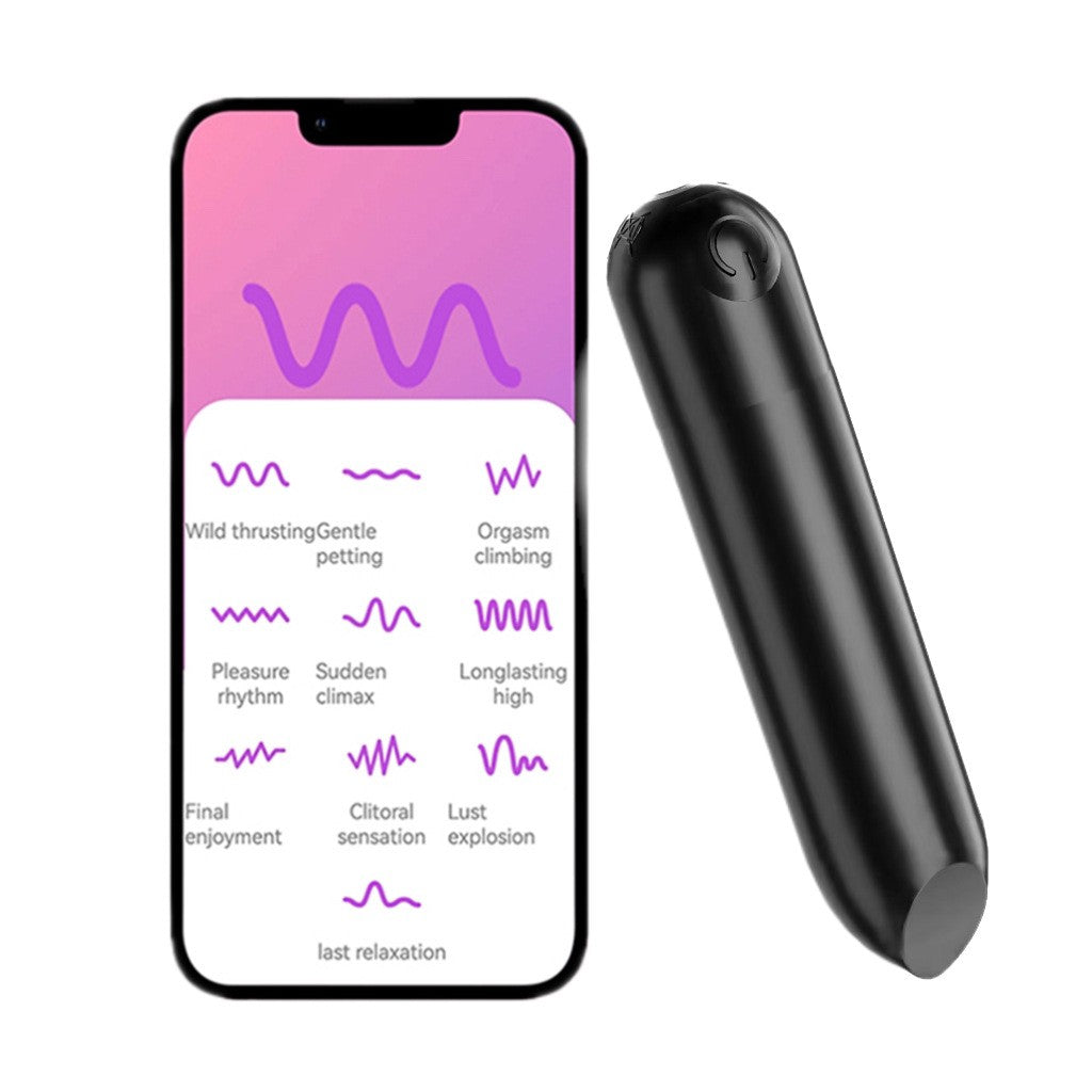 Quiet Bullet Clit Vibrator with Panties App
