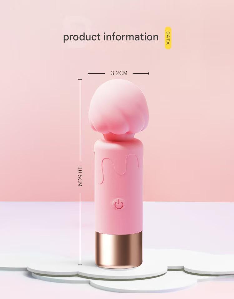 Pink Ice Cream Rechargeable Small Vibrator