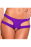 Load image into Gallery viewer, Plus Size Sexy Crotchless Panties Purple / M