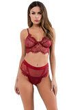Load image into Gallery viewer, See Through Hollow Women Underwear Sexy Girl Bra Set Lace Patchwork Wine Red / S &amp; Panties