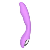 Laden Sie das Bild in den Galerie-Viewer, 360 Degree Massager G-Spot Vibrator Usb Charge Light Purple
