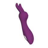 Load image into Gallery viewer, G-Spot Clitoris Stimulation Rabbit Shape Vibrator Purple