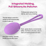 Load image into Gallery viewer, Kegel Ball Exercise Weights Pelvic Floor Exercises Set Balls