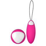 Load image into Gallery viewer, Remote Control Bullet Vibrator Jump Egg G Spot Clitoris Stimulation Rose Red Kegel Balls